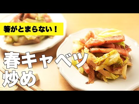 旬をいただく炒め物！ベーコンと【春キャベツ炒め】のレシピ