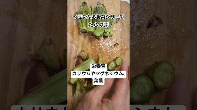 旬の野菜#料理 #料理簡単 #料理撮影 #簡単レシピ #おうちごはん #たらの芽#野菜#献立#胡麻和え