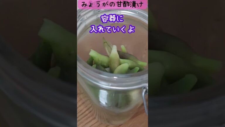 みょうがの甘酢漬け💕初収穫の夏みょうが💕