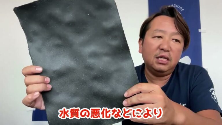 2024/9/5【豊洲市場】山茂／『水前寺のり』