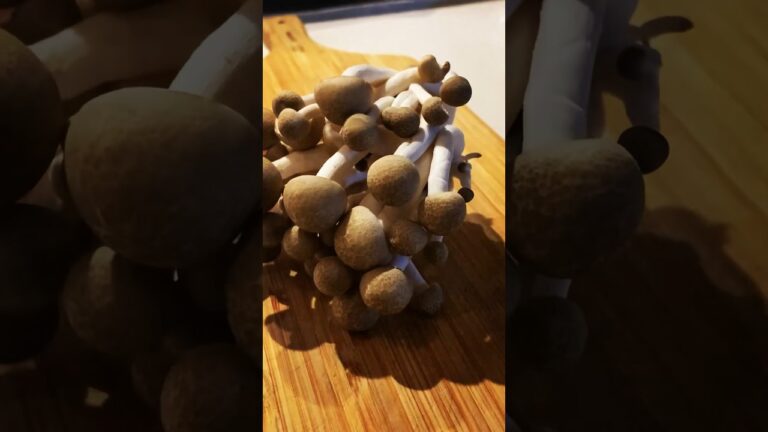 しめじにめんどくさい事はしない#shorts #おつまみ