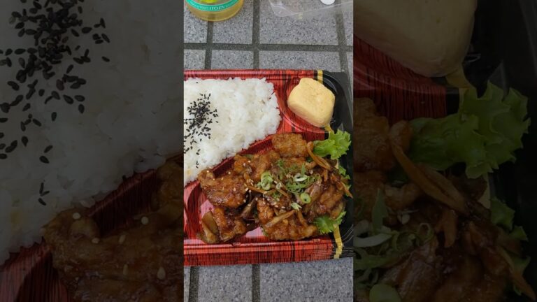 新米🌾鶏ごぼう甘辛弁当🍱🐱だし巻き卵焼き入り