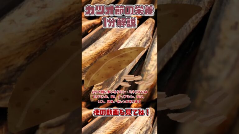 【ゆっくり解説】カツオ節の栄養を1分で解説 #shorts