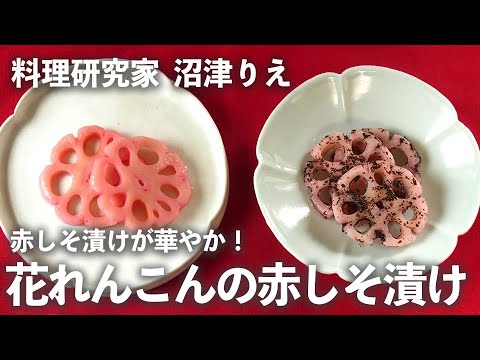 「 花れんこんの赤しそ漬け 」が華やか！お正月のおせち料理におすすめ！【ちょこっと漬け♯60】｜ kufura   [ クフラ ]