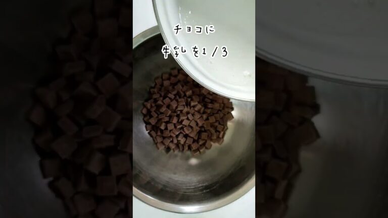 簡単デザートチョコプリン♥ゼラチン元気！