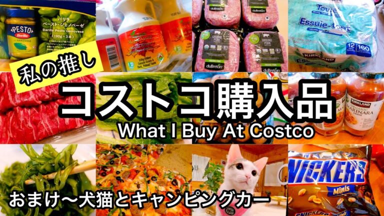 コストコ行ってきました｜息子たちに送る物｜キャンピングカーで猫と旅する方法を考えた結果こうなりました