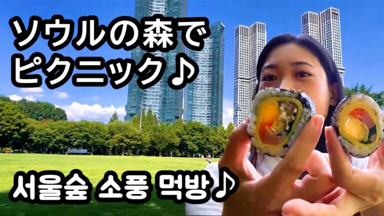 【ソウルの森】ピクニックで名物キンパモッパン♪ソウルで一番綺麗な景色はココ？！（서울숲/먹방/한강）