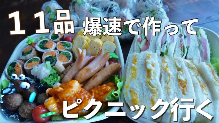 好物１１品ひたすら詰めて、友人とピクニックに出かける【English Subs】【bento】