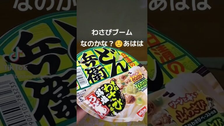 わさび強めで結構むせました☺️あはは #どん兵衛 #重ねわさび鶏塩うどん #ほっけ天丼 #夜食