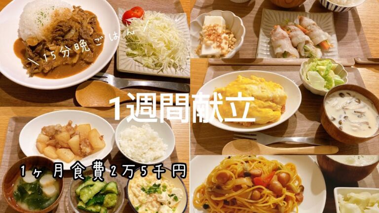 【平日５日間ぱぱっと献立#1】ガッツリ食べたい5日間。オムライス、ビーフストロガノフなど