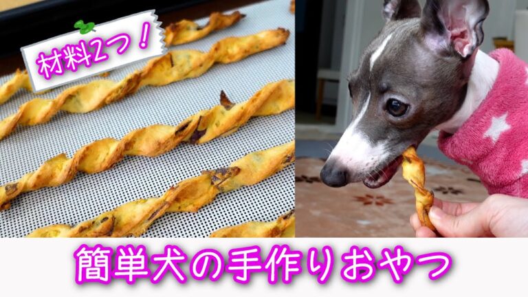 【簡単】材料2つでできる犬の手作りおやつレシピ！さつまいもクッキー🍠
