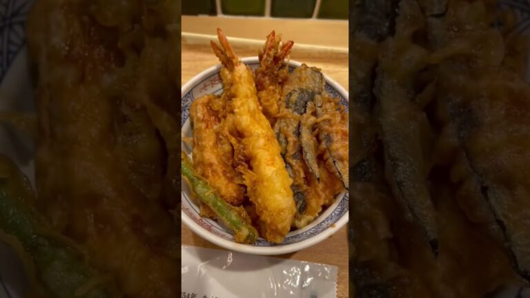 白血球少ない動画をあげたら　食生活を心配されたので野菜たっぷり天丼をたべました