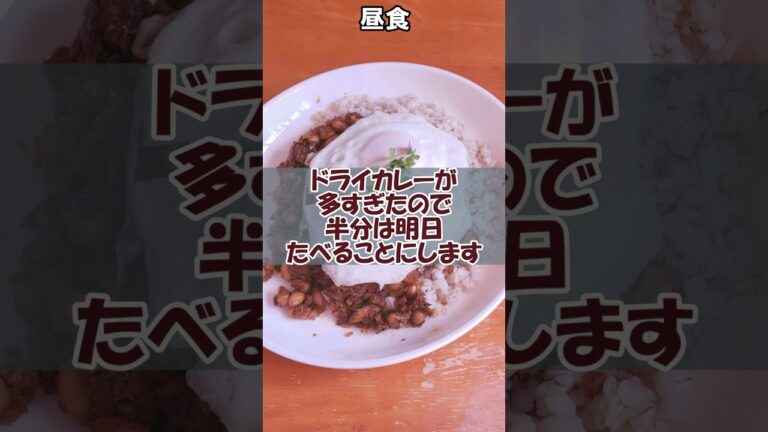 サバ缶ドライカレー　48日目（2023/10/18）【アキラ / 100日後に痩せるデブの食レポ】 #shorts