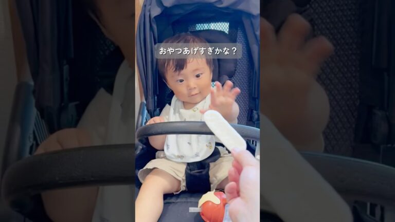 【赤ちゃんに】罪悪感ゼロおやつ