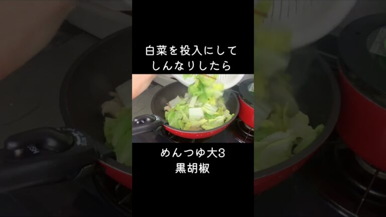 豚肉と白菜のとろとろ煮🌟