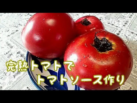 生のトマトを使ってトマトソース作り