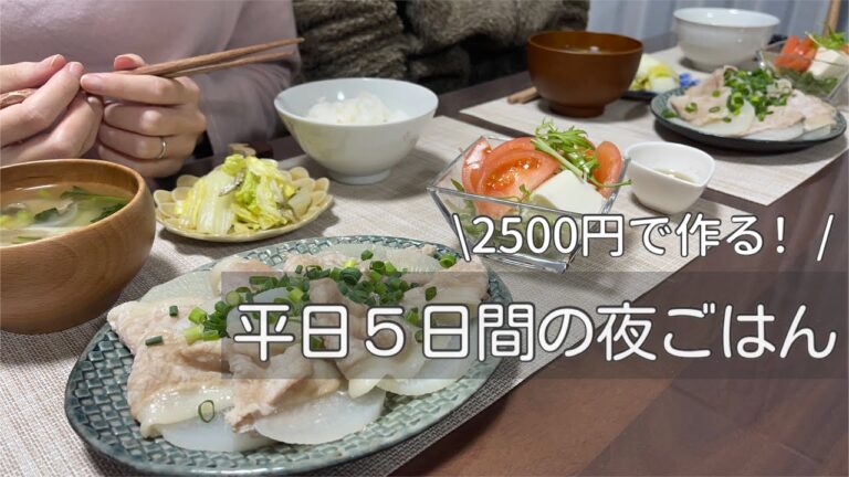 【食費2.5万】大根、白菜で簡単節約レシピ🥬