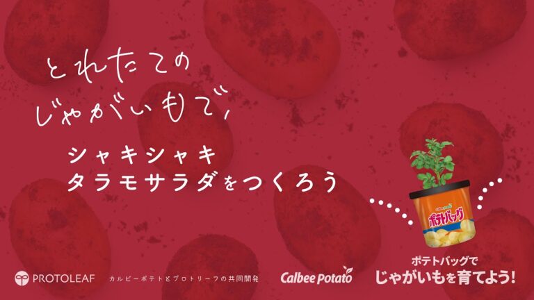 【ポテトバッグ】じゃがいもお料理編 〜シャキシャキタラモサラダをつくろう〜