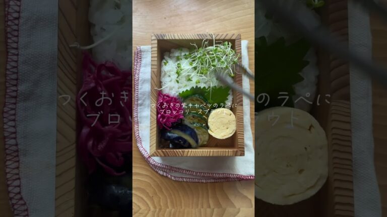 毎日猛暑で火を使いたくないので缶詰に頼りました🐟 #お弁当 #お弁当作り #obento #お弁当おかず #お弁当記録 #お弁当動画 #お弁当詰め方