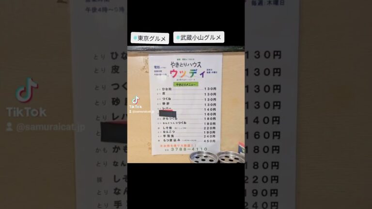 武蔵小山のグルメ情報「やきとりハウス ウッディ」～なんこつ入りつくね～ さっぱり甘さとなんこつのアクセントが癖になる老舗焼き鳥屋のつくねが美味しい！ #武蔵小山グルメ #東京グルメ #西小山