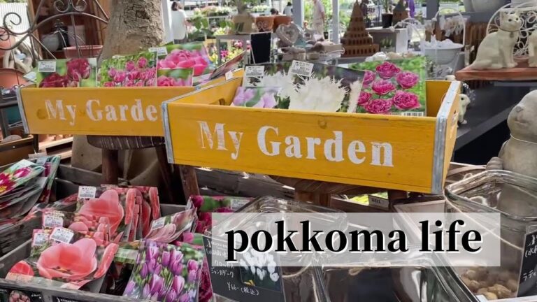 【60代vlog】秋のガーデンへ/エッセイ本出版のお知らせ/キャロットケーキ/娘の帰省/リメイクご飯/京阪ガーデナーズ/シニアライフ/