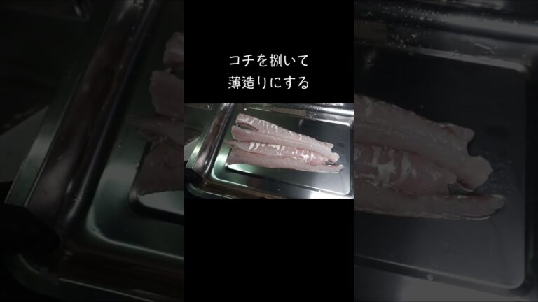コチを捌いて薄造りにする！#shorts