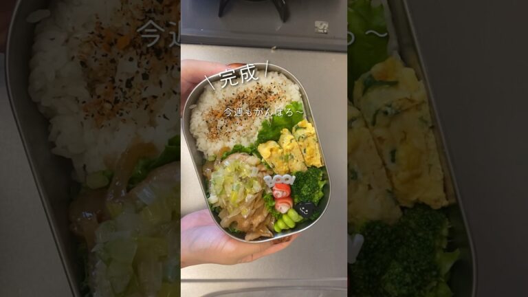 【毎日お弁当】生姜焼き弁🍱 #同棲ご飯 #毎日ご飯 #おべんとう #毎日弁当 #お弁当詰め