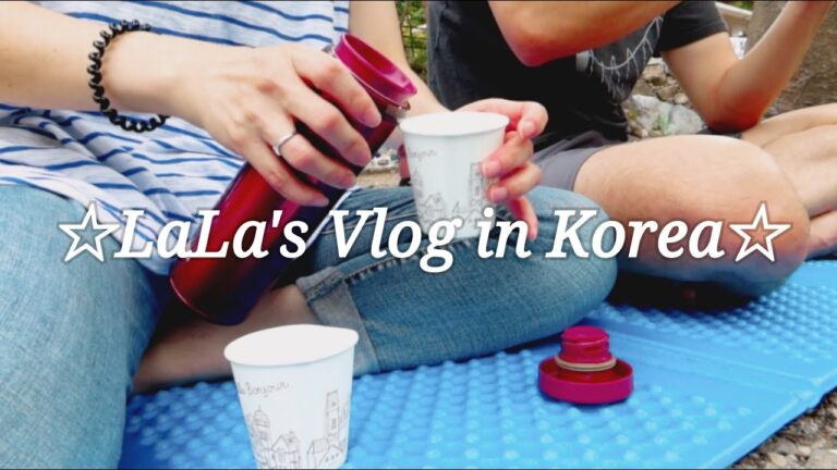 【日韓夫婦】日本人主婦日常Vlog♯056 雨の日のトッポギ、韓国スーパー買出し品紹介、韓国ラーメンで手抜きのお昼ご飯、人生初のハムカツ挑戦、渓谷遊び