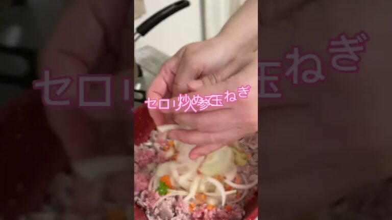 「野菜たっぷりインチキミートソース」牛は高いから豚挽肉#shorts #作り置き #料理