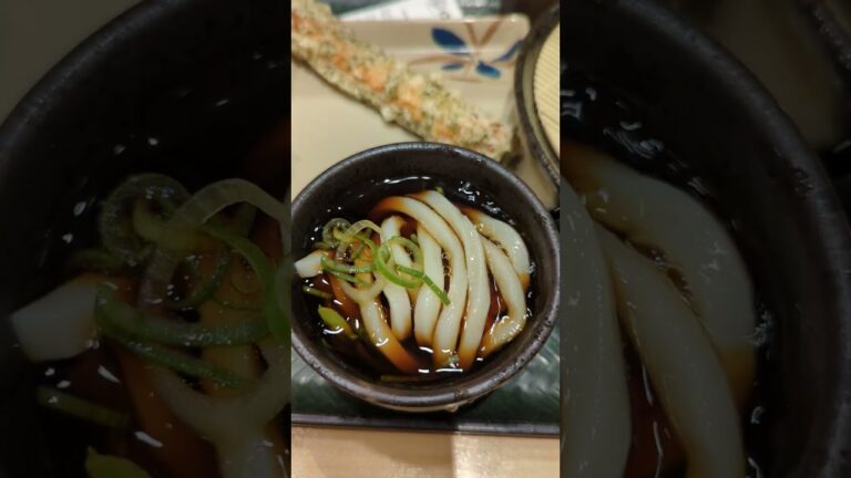 The Irresistible Charm of the World's Most Delicious Zaru Udon