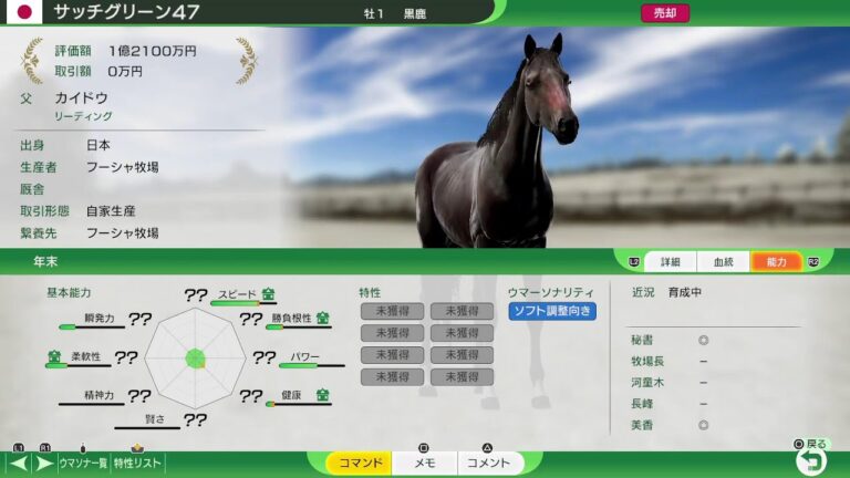 ワンピース牧場で海外主要G1全制覇目指してウイニングポスト10！難易度EXPERT