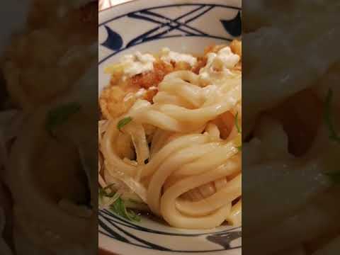 うどん総選挙１位丸亀製麺のタル鶏天ぶっかけが美味しい(´ω｀)
