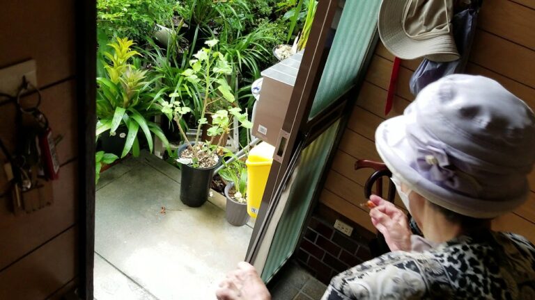 2018.9.13 外に出れなくなったトンボを逃がしてあげるばあちゃん