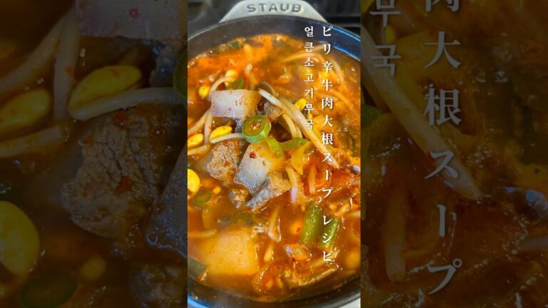 #ピリ辛スープ #韓国料理 #牛肉大根スープ#소고기무국#얼큰소고기무국
