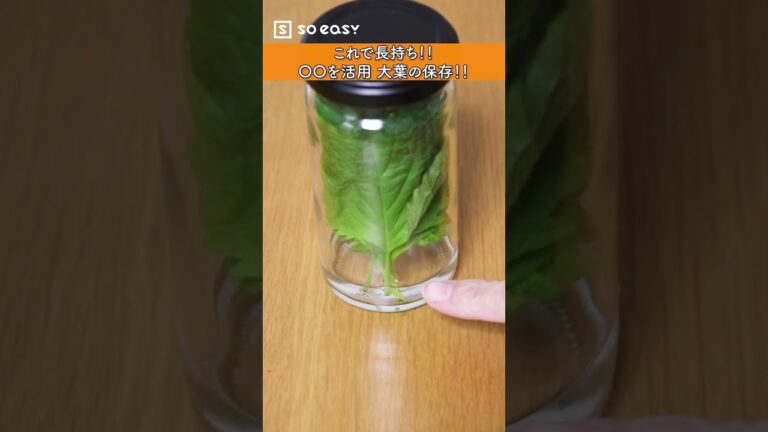 これで長持ち！！〇〇を活用 大葉の保存！！【いいね！と思ったら、コメント「👍」で教えてね😆】#Shorts