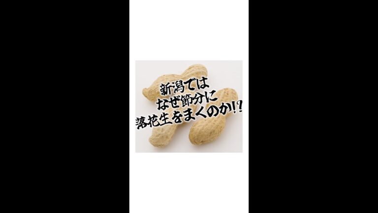 新潟ではなぜ節分に落花生を撒くのか！ #shorts