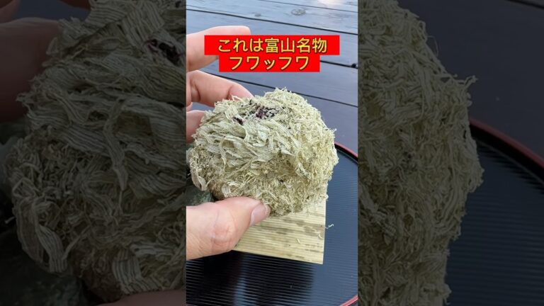 富山でしか食べられないおにぎり？とろろ昆布おにぎりが超美味い #富山グルメ #国内旅行 #富山 #shorts