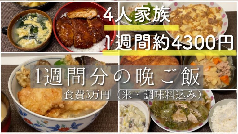手取り23万 夫と専業主婦と子供2人 1週間の晩ごはん 節約 料理 動画