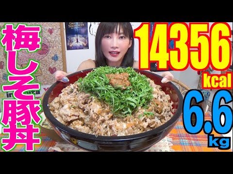 【MUKBANG】 So Refreshing!! Ultra Huge Ume Shiso Pork Rice Bowl!! [6.6Kg] 14356kcal [CC Available]
