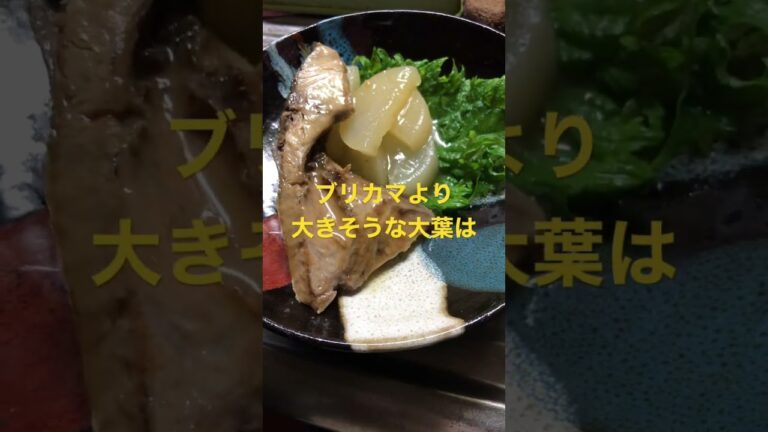 ブリカマでブリ大根