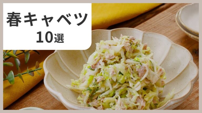【旬食材】春キャベツで作る！やみつきレシピまとめ10選｜お弁当にも◎