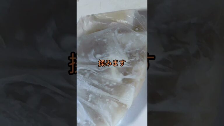 大根の塩麹漬け #チャンネル登録お願いします #高評価お願いします #拡散希望