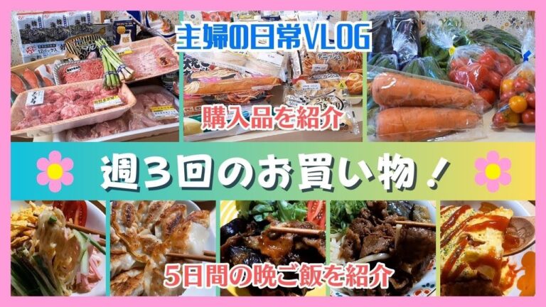 【食料品まとめ買い】週3回分の購入品紹介/半額で買った冷やし中華は美味しくてGood！/大人も大好きオムライス(*^^*)【50代主婦の日常vlog】