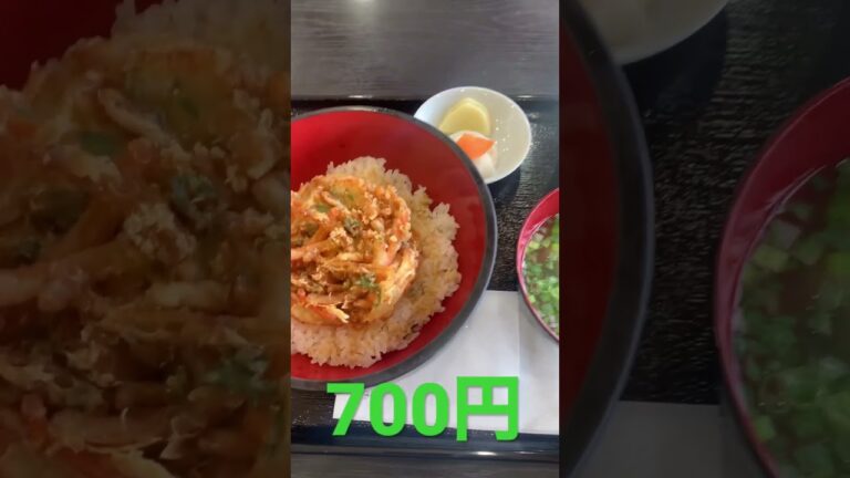 かき揚げ丼
