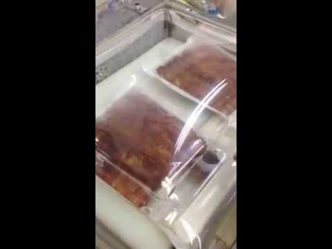 真空の瞬間！   鰻に魅せられて