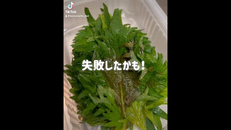 失敗しても大丈夫。疲れた日の“ほぼ放置レシピ”考えなくても作れるものが良き。タレさえ多めで失敗もない！#韓国料理ダイエット #簡単ヘルシーごはん #アラフォーからのダイエット #一緒に痩せよう