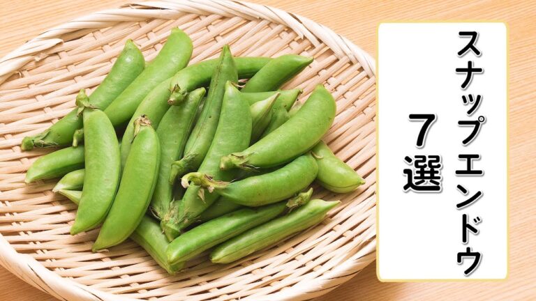 スナップエンドウ7選