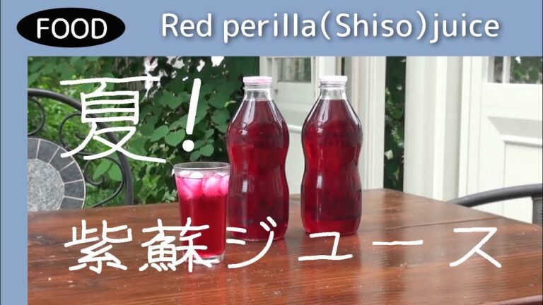 香り高い紫蘇ジュースの作り方　How to make fragrant shiso juice　のんびりおやじF