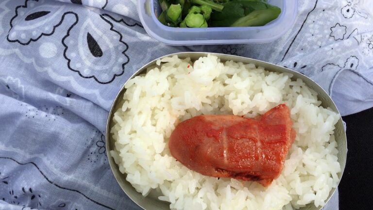 昼ごはんだ！明太子のお弁当で花見～【ねこちゅーばー☆nekotuber】