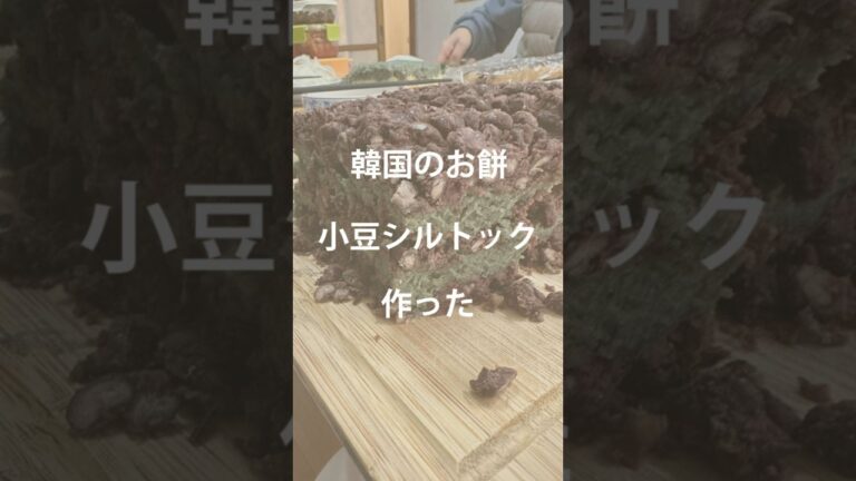 韓国のお餅小豆シルトック作った